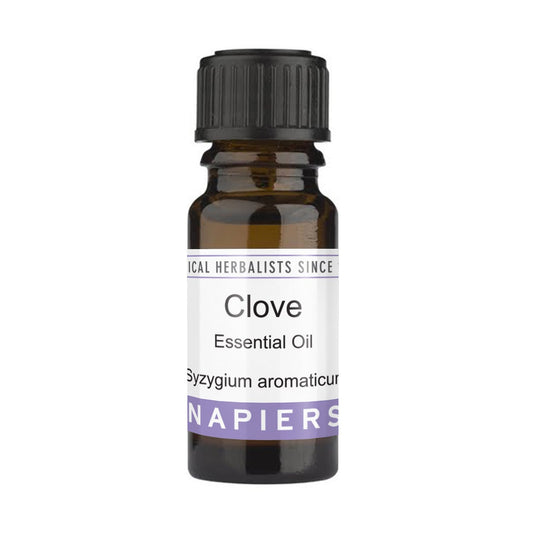 Napiers Clove Bud Essential Oil